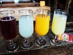 进口果汁-Helens海伦司(武汉卓刀泉店)