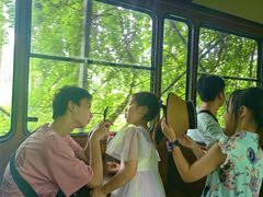 -合肥滨湖国家森林公园