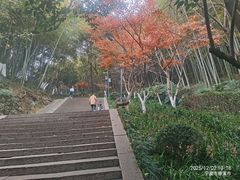 -峙山公园