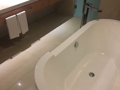 -成都明宇丽雅饭店