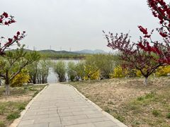 -永定河休闲森林公园