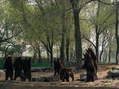 -北京野生动物园