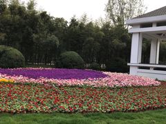 -春兰国宾馆(凤城河风景区老街店)