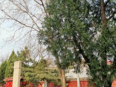 -天宁寺
