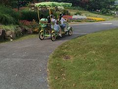 -径山花海