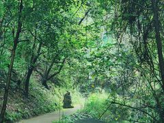 -昆明青龙峡风景区