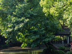 -惠山古镇·寄畅园