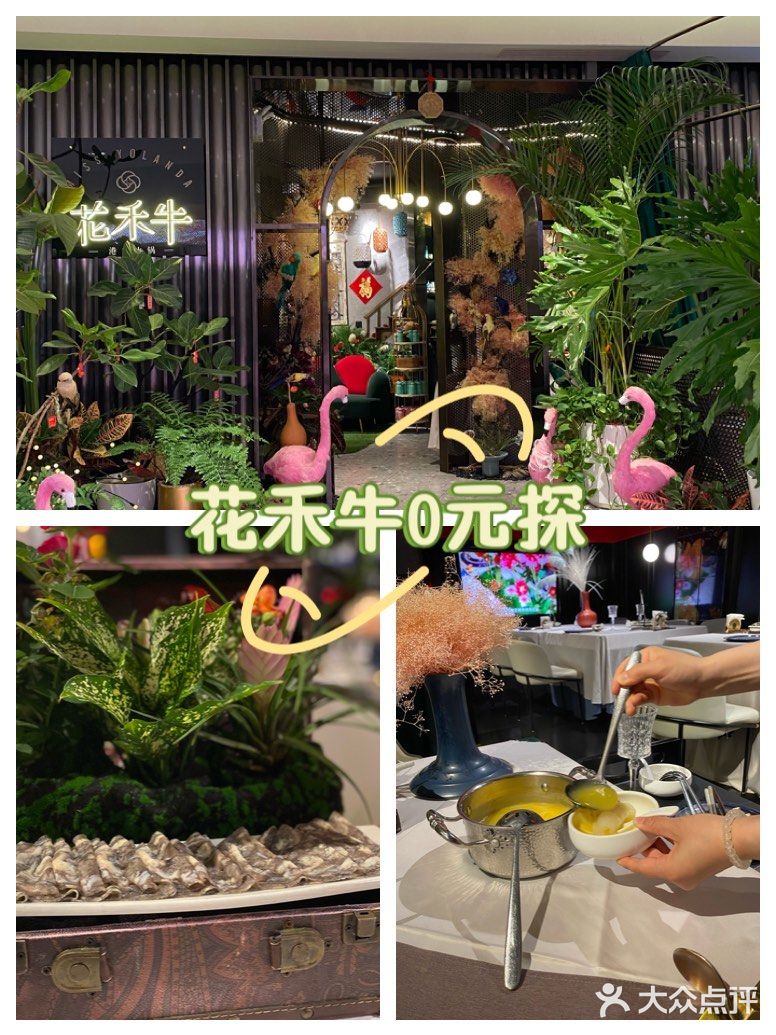 花禾牛0元探