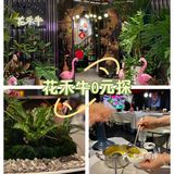 花禾牛0元探