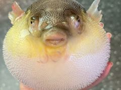 -永安鱼庄·镇江菜(东吴路店)