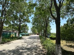 -嘉北郊野公园