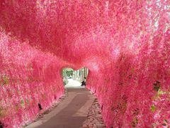 -揭东万竹园旅游景区