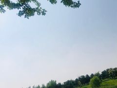 -蒲河岛湿地公园