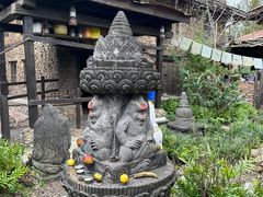 -奥兰多迪士尼动物王国乐园