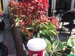 -COSTA COFFEE(上海虹口公园店)