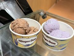 -哈根达斯(绍兴银泰店)