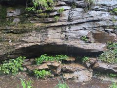 -碧峰峡风景区