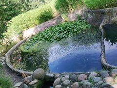 -成都市活水公园
