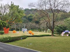 -云溪植物园