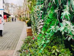 -四川省成都市彭州市白鹿镇