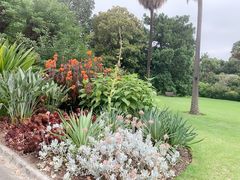 -墨尔本皇家植物园