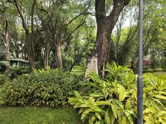 -云溪植物园