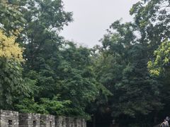 -水绘园