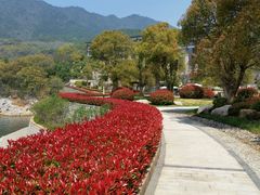 android_upload_pic-千岛湖洲际度假酒店