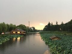-白洋淀景区