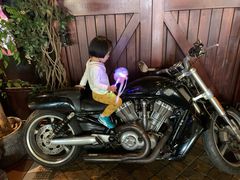-碧特博格啤酒花园餐厅(芜湖路店)