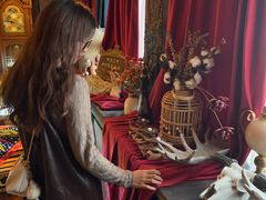-雪灵魔法世界SHELLY’S TAROT(大良桂畔里店)