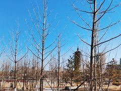 -运河游船(武林门码头)