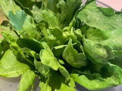 茼蒿-王家渡火锅(金宝汇店)