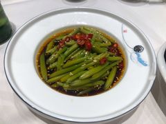 凉拌黄花-凯鸽酒楼(大同振兴街店)