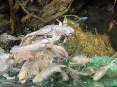 -太平洋海底世界