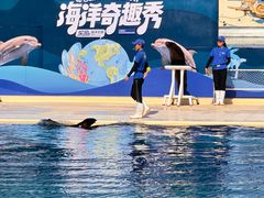 -秦皇岛乐岛海洋王国