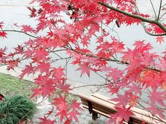 -上海长江河口科技馆