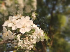 -荆川公园