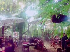 -Fern Forest Cafe