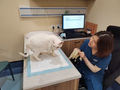 -萌兽医馆·犬猫专科·眼科中心·宠物医院(朝阳门分院)