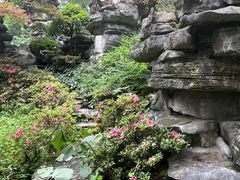 -南山植物园