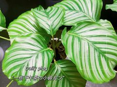 -宫七SPA·高端Massage(浦东大道店)