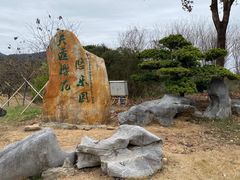 -天适樱花悠乐园