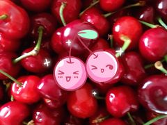 -绿叶子(春秀路店)