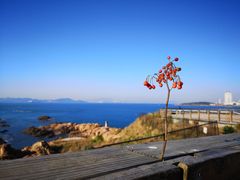-青岛海滨风景区