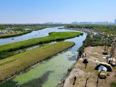 -春花秋色城市公园