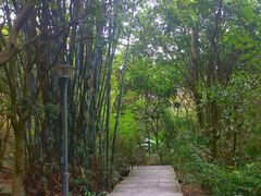 -高榜山景区