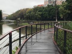 -映月湖公园