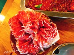 渣渣鲜珺花-岗上渣渣老火锅(两路口店)