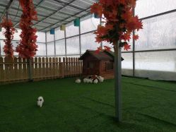 -萌宠亲子动物乐园(槐房万达店)